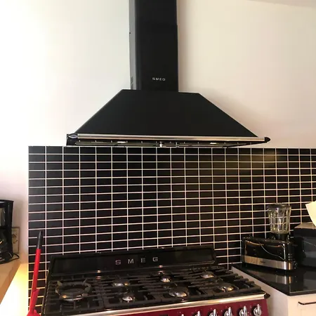 Nogueira De - Amaral's