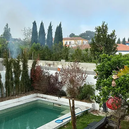 Nogueira De - Amaral's *