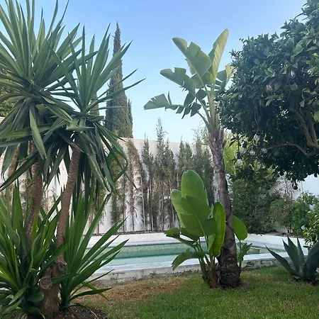 Nogueira De - Amaral's Villa Azeitão
