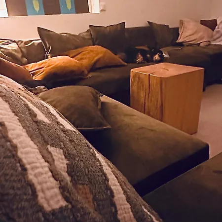 Villa Nogueira De - Amaral's Azeitão