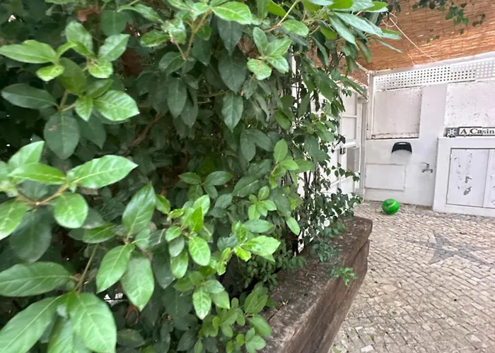 Nogueira De - Amaral's Villa *